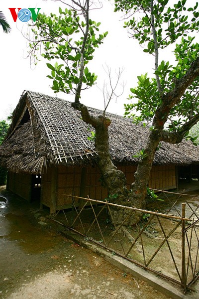 Visiting Uncle Ho’s mother’s village	 - ảnh 6